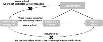 Association between genetically predicted rheumatoid arthritis and alopecia areata: a two-sample Mendelian randomization study